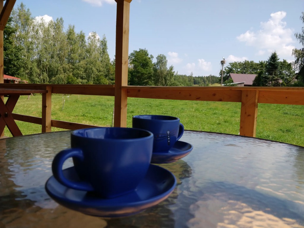 Kawa na tarasie domku — widok na łąkę i gniazdo bociana
