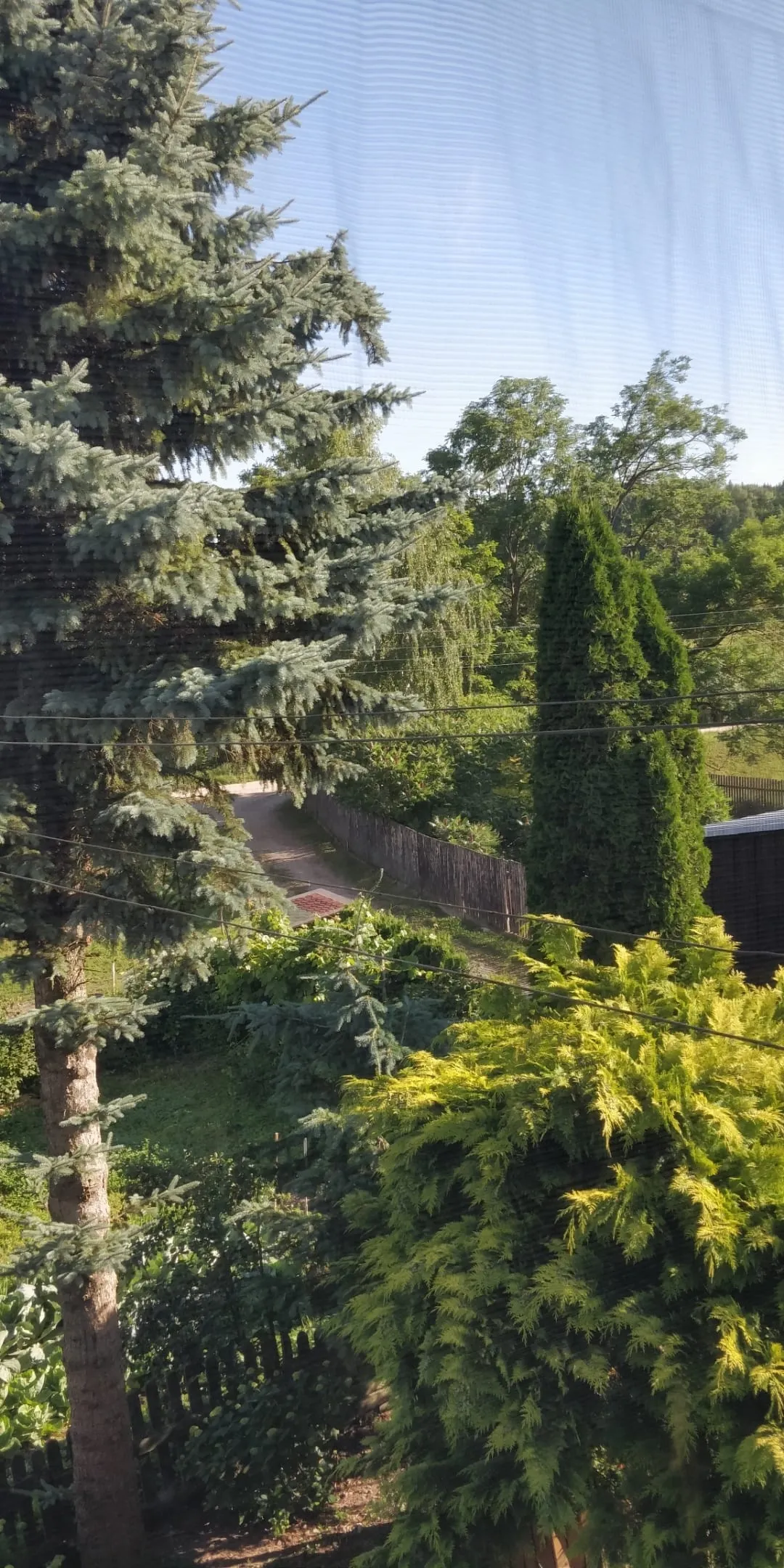 Widok z pokoju 3-osobowego na ogród i drzewa enklawy Huta 5