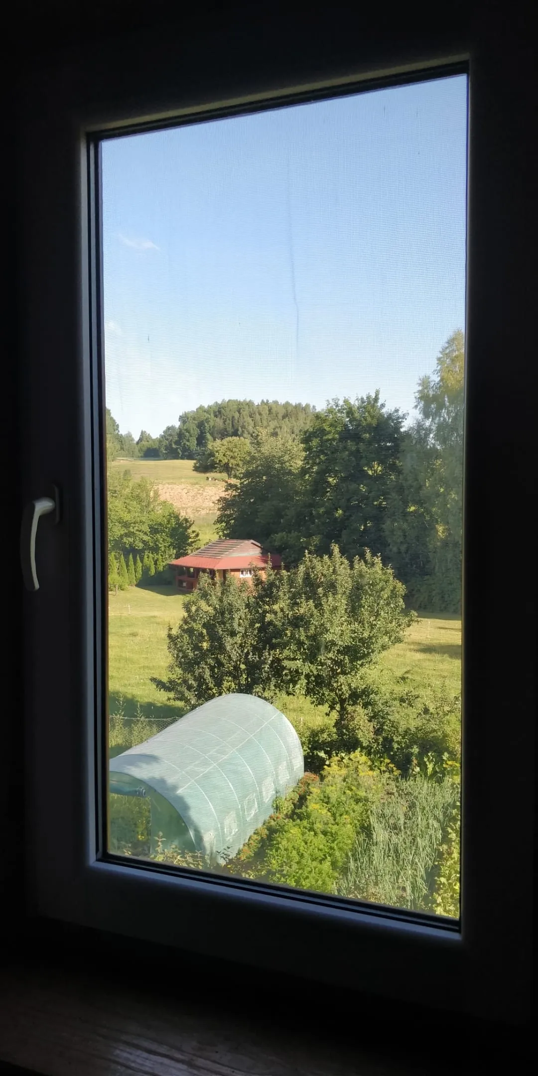 Widok z okna pokoju 3-osobowego na ogród i altanę, Huta 5 koło Filipowa