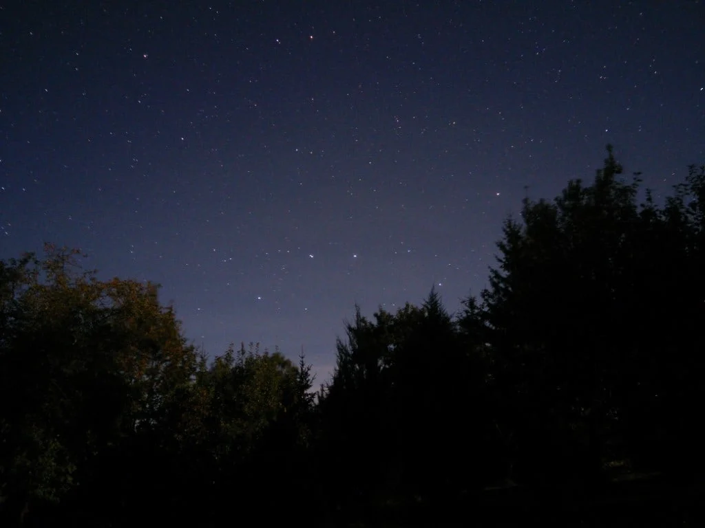 Niebo nad koroną lasu